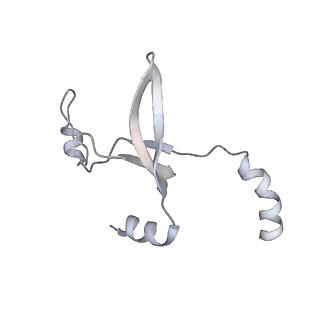 41100_8t8o_CD_v1-0
CCW Flagellar Switch Complex - FliF, FliG, FliM, and FliN forming 34-mer C-ring from Salmonella