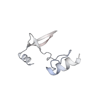 41100_8t8o_CE_v1-0
CCW Flagellar Switch Complex - FliF, FliG, FliM, and FliN forming 34-mer C-ring from Salmonella