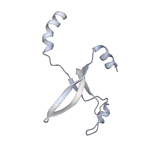 41100_8t8o_CG_v1-0
CCW Flagellar Switch Complex - FliF, FliG, FliM, and FliN forming 34-mer C-ring from Salmonella