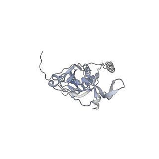 41100_8t8o_C_v1-0
CCW Flagellar Switch Complex - FliF, FliG, FliM, and FliN forming 34-mer C-ring from Salmonella