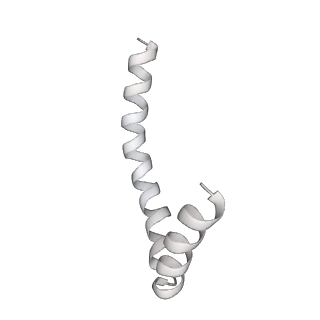 41100_8t8o_DB_v1-0
CCW Flagellar Switch Complex - FliF, FliG, FliM, and FliN forming 34-mer C-ring from Salmonella