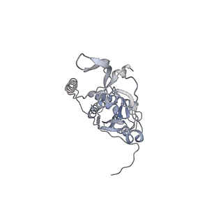 41100_8t8o_DC_v1-0
CCW Flagellar Switch Complex - FliF, FliG, FliM, and FliN forming 34-mer C-ring from Salmonella