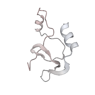 41100_8t8o_DD_v1-0
CCW Flagellar Switch Complex - FliF, FliG, FliM, and FliN forming 34-mer C-ring from Salmonella