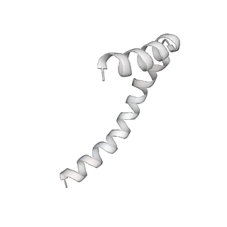 41100_8t8o_DE_v1-0
CCW Flagellar Switch Complex - FliF, FliG, FliM, and FliN forming 34-mer C-ring from Salmonella