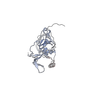 41100_8t8o_DF_v1-0
CCW Flagellar Switch Complex - FliF, FliG, FliM, and FliN forming 34-mer C-ring from Salmonella