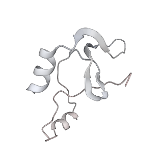 41100_8t8o_DG_v1-0
CCW Flagellar Switch Complex - FliF, FliG, FliM, and FliN forming 34-mer C-ring from Salmonella