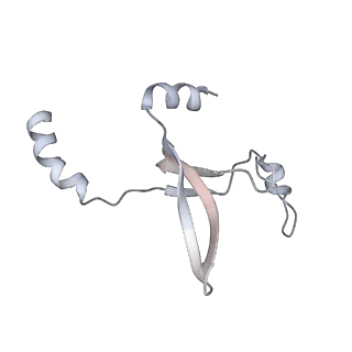 41100_8t8o_D_v1-0
CCW Flagellar Switch Complex - FliF, FliG, FliM, and FliN forming 34-mer C-ring from Salmonella