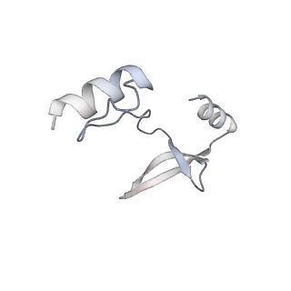 41100_8t8o_EA_v1-0
CCW Flagellar Switch Complex - FliF, FliG, FliM, and FliN forming 34-mer C-ring from Salmonella