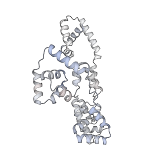 41100_8t8o_EB_v1-0
CCW Flagellar Switch Complex - FliF, FliG, FliM, and FliN forming 34-mer C-ring from Salmonella