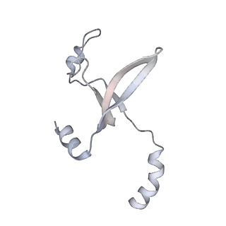 41100_8t8o_EC_v1-0
CCW Flagellar Switch Complex - FliF, FliG, FliM, and FliN forming 34-mer C-ring from Salmonella