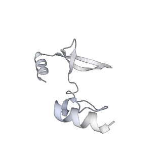 41100_8t8o_ED_v1-0
CCW Flagellar Switch Complex - FliF, FliG, FliM, and FliN forming 34-mer C-ring from Salmonella