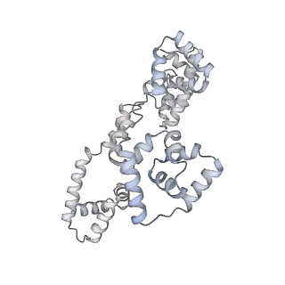 41100_8t8o_EE_v1-0
CCW Flagellar Switch Complex - FliF, FliG, FliM, and FliN forming 34-mer C-ring from Salmonella