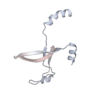 41100_8t8o_EF_v1-0
CCW Flagellar Switch Complex - FliF, FliG, FliM, and FliN forming 34-mer C-ring from Salmonella