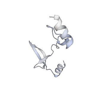 41100_8t8o_EG_v1-0
CCW Flagellar Switch Complex - FliF, FliG, FliM, and FliN forming 34-mer C-ring from Salmonella