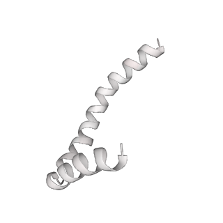 41100_8t8o_FA_v1-0
CCW Flagellar Switch Complex - FliF, FliG, FliM, and FliN forming 34-mer C-ring from Salmonella