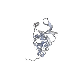 41100_8t8o_FB_v1-0
CCW Flagellar Switch Complex - FliF, FliG, FliM, and FliN forming 34-mer C-ring from Salmonella