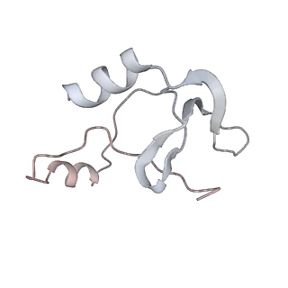 41100_8t8o_FF_v1-0
CCW Flagellar Switch Complex - FliF, FliG, FliM, and FliN forming 34-mer C-ring from Salmonella