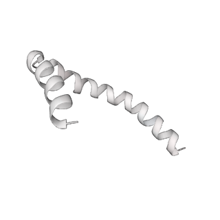 41100_8t8o_FG_v1-0
CCW Flagellar Switch Complex - FliF, FliG, FliM, and FliN forming 34-mer C-ring from Salmonella