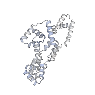 41100_8t8o_GA_v1-0
CCW Flagellar Switch Complex - FliF, FliG, FliM, and FliN forming 34-mer C-ring from Salmonella