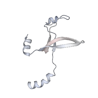 41100_8t8o_GB_v1-0
CCW Flagellar Switch Complex - FliF, FliG, FliM, and FliN forming 34-mer C-ring from Salmonella