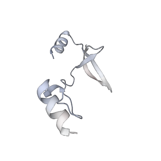 41100_8t8o_GC_v1-0
CCW Flagellar Switch Complex - FliF, FliG, FliM, and FliN forming 34-mer C-ring from Salmonella