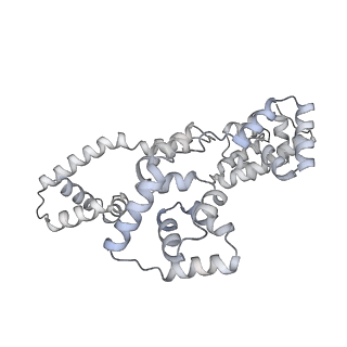 41100_8t8o_GD_v1-0
CCW Flagellar Switch Complex - FliF, FliG, FliM, and FliN forming 34-mer C-ring from Salmonella