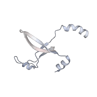 41100_8t8o_GE_v1-0
CCW Flagellar Switch Complex - FliF, FliG, FliM, and FliN forming 34-mer C-ring from Salmonella