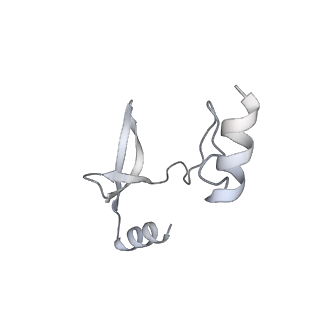 41100_8t8o_GF_v1-0
CCW Flagellar Switch Complex - FliF, FliG, FliM, and FliN forming 34-mer C-ring from Salmonella