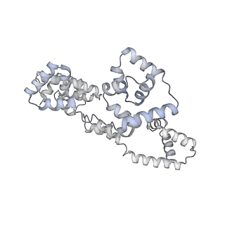 41100_8t8o_GG_v1-0
CCW Flagellar Switch Complex - FliF, FliG, FliM, and FliN forming 34-mer C-ring from Salmonella