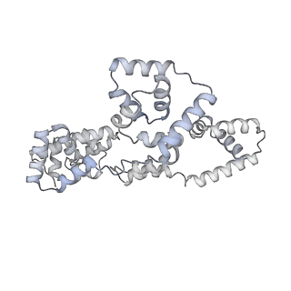 41100_8t8o_G_v1-0
CCW Flagellar Switch Complex - FliF, FliG, FliM, and FliN forming 34-mer C-ring from Salmonella