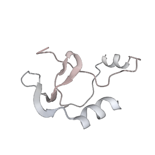 41100_8t8o_HB_v1-0
CCW Flagellar Switch Complex - FliF, FliG, FliM, and FliN forming 34-mer C-ring from Salmonella