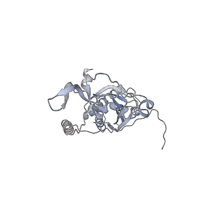 41100_8t8o_HD_v1-0
CCW Flagellar Switch Complex - FliF, FliG, FliM, and FliN forming 34-mer C-ring from Salmonella