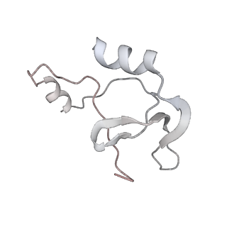 41100_8t8o_HE_v1-0
CCW Flagellar Switch Complex - FliF, FliG, FliM, and FliN forming 34-mer C-ring from Salmonella