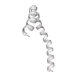 41100_8t8o_HF_v1-0
CCW Flagellar Switch Complex - FliF, FliG, FliM, and FliN forming 34-mer C-ring from Salmonella