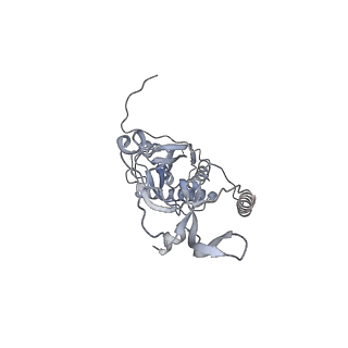 41100_8t8o_HG_v1-0
CCW Flagellar Switch Complex - FliF, FliG, FliM, and FliN forming 34-mer C-ring from Salmonella