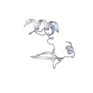 41100_8t8o_H_v1-0
CCW Flagellar Switch Complex - FliF, FliG, FliM, and FliN forming 34-mer C-ring from Salmonella