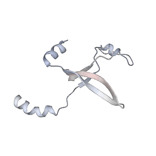 41100_8t8o_IA_v1-0
CCW Flagellar Switch Complex - FliF, FliG, FliM, and FliN forming 34-mer C-ring from Salmonella