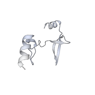 41100_8t8o_IB_v1-0
CCW Flagellar Switch Complex - FliF, FliG, FliM, and FliN forming 34-mer C-ring from Salmonella