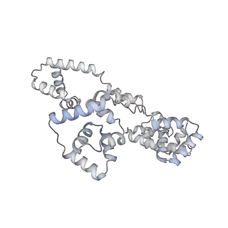 41100_8t8o_IC_v1-0
CCW Flagellar Switch Complex - FliF, FliG, FliM, and FliN forming 34-mer C-ring from Salmonella