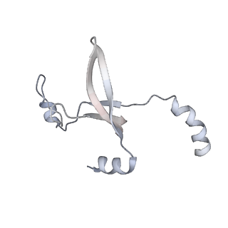 41100_8t8o_ID_v1-0
CCW Flagellar Switch Complex - FliF, FliG, FliM, and FliN forming 34-mer C-ring from Salmonella