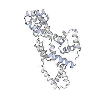 41100_8t8o_IF_v1-0
CCW Flagellar Switch Complex - FliF, FliG, FliM, and FliN forming 34-mer C-ring from Salmonella