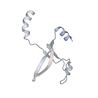 41100_8t8o_IG_v1-0
CCW Flagellar Switch Complex - FliF, FliG, FliM, and FliN forming 34-mer C-ring from Salmonella