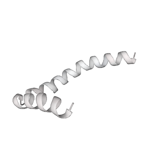 41100_8t8o_I_v1-0
CCW Flagellar Switch Complex - FliF, FliG, FliM, and FliN forming 34-mer C-ring from Salmonella