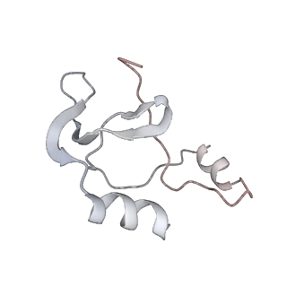 41100_8t8o_JA_v1-0
CCW Flagellar Switch Complex - FliF, FliG, FliM, and FliN forming 34-mer C-ring from Salmonella