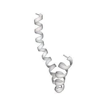 41100_8t8o_JB_v1-0
CCW Flagellar Switch Complex - FliF, FliG, FliM, and FliN forming 34-mer C-ring from Salmonella