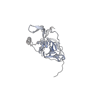 41100_8t8o_JC_v1-0
CCW Flagellar Switch Complex - FliF, FliG, FliM, and FliN forming 34-mer C-ring from Salmonella