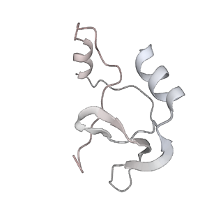 41100_8t8o_JD_v1-0
CCW Flagellar Switch Complex - FliF, FliG, FliM, and FliN forming 34-mer C-ring from Salmonella