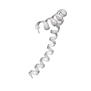 41100_8t8o_JE_v1-0
CCW Flagellar Switch Complex - FliF, FliG, FliM, and FliN forming 34-mer C-ring from Salmonella