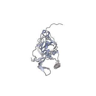 41100_8t8o_JF_v1-0
CCW Flagellar Switch Complex - FliF, FliG, FliM, and FliN forming 34-mer C-ring from Salmonella