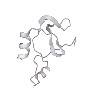 41100_8t8o_JG_v1-0
CCW Flagellar Switch Complex - FliF, FliG, FliM, and FliN forming 34-mer C-ring from Salmonella